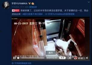 成源家暴爆料视频,家庭暴力事件引发社会关注